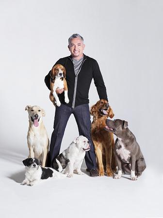 El encantador de perros