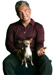 Cesar Millán