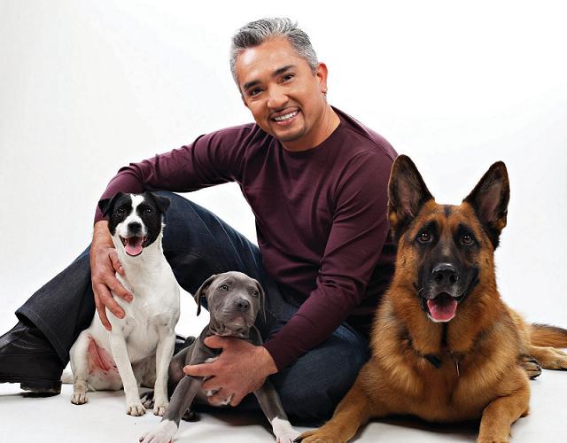 El encantador de perros