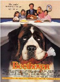 Beethoven. Uno más de la familia 